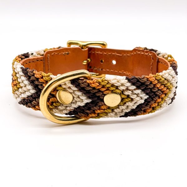 Collar artesanal para perro Flechita de Peter Walker Shop