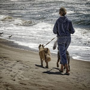 Correas artesanales para perros