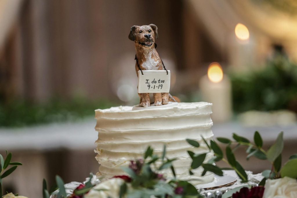 Los mejores accesorios de boda para perros